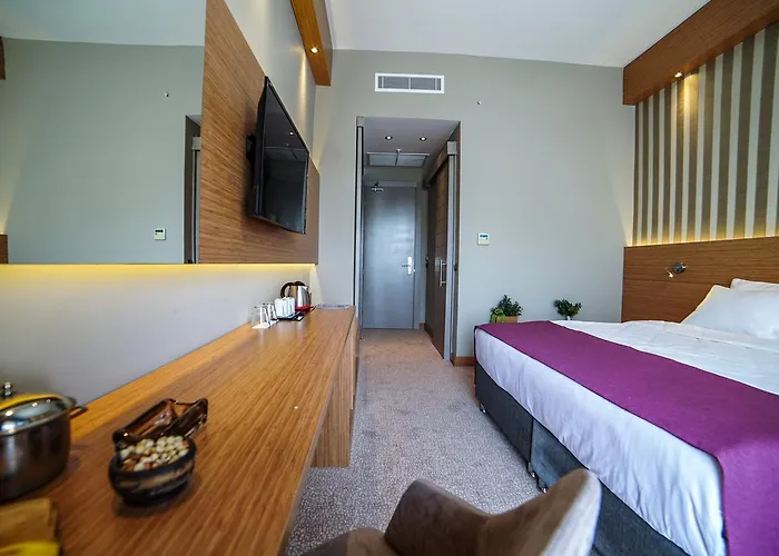 Ayayorgi By T Çeşme