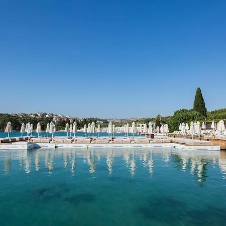 Ayayorgi By T Кешме